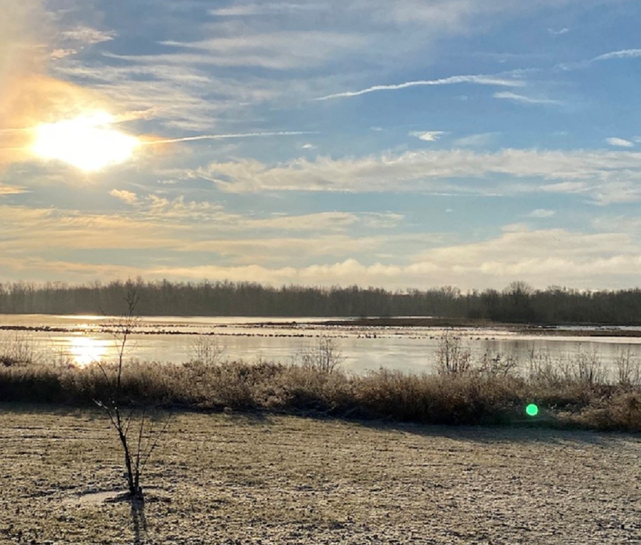 LANTHIER WETLAND RESTORATION.